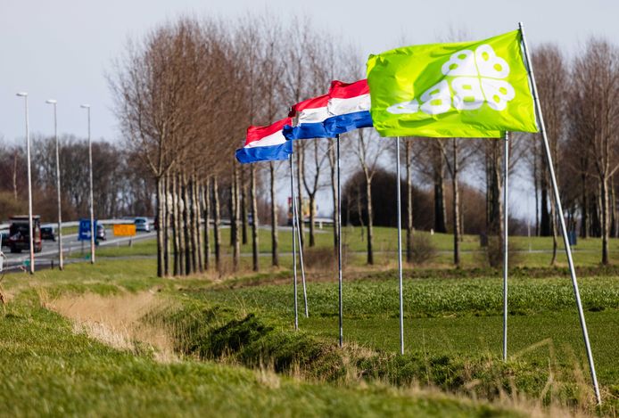Foto ter illustratie.