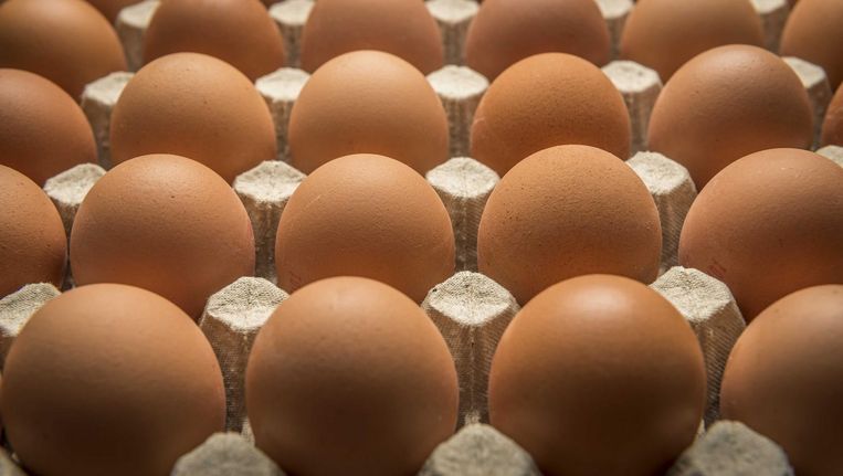 Codenummers werden door de NVWA gepubliceerd zodat de consumenten de besmette eieren konden opsporen Beeld anp