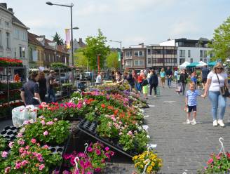 Wat te doen in de Denderstreek en de Vlaamse Ardennen dit weekend: van Topdag in Aalst tot bloemenmarkt in Ninove