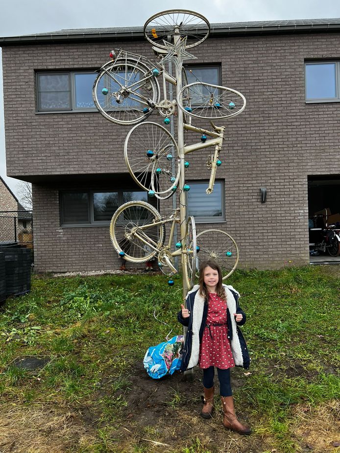 De Veloboom in Beringen