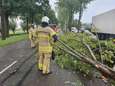 Bomen, auto’s en woningen beschadigd door windhoos in Leerdam