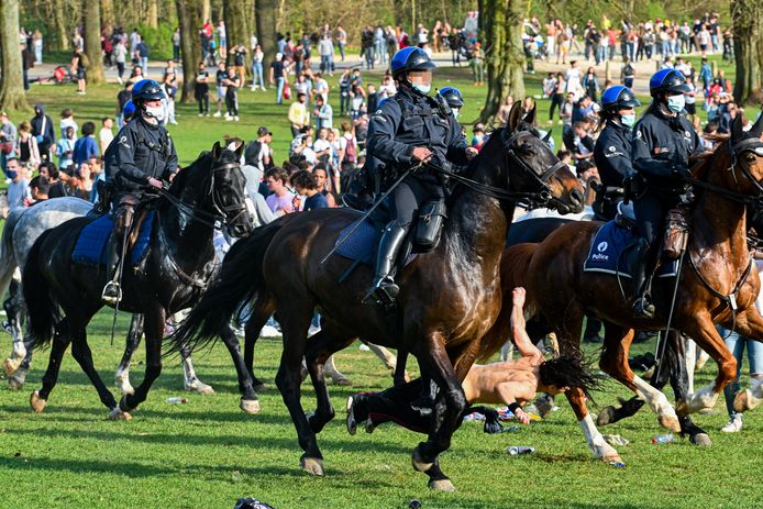 Une jeune femme percutée par un cheval de la police au cours de La Boum, le faux festival qui a dégénéré dans le Bois de la Cambre.