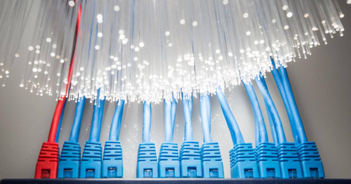 Deux grands câbles internet européens interrompus coup sur coup : problèmes mondiaux et matière à spéculation |  Instagram VTM NOUVELLES