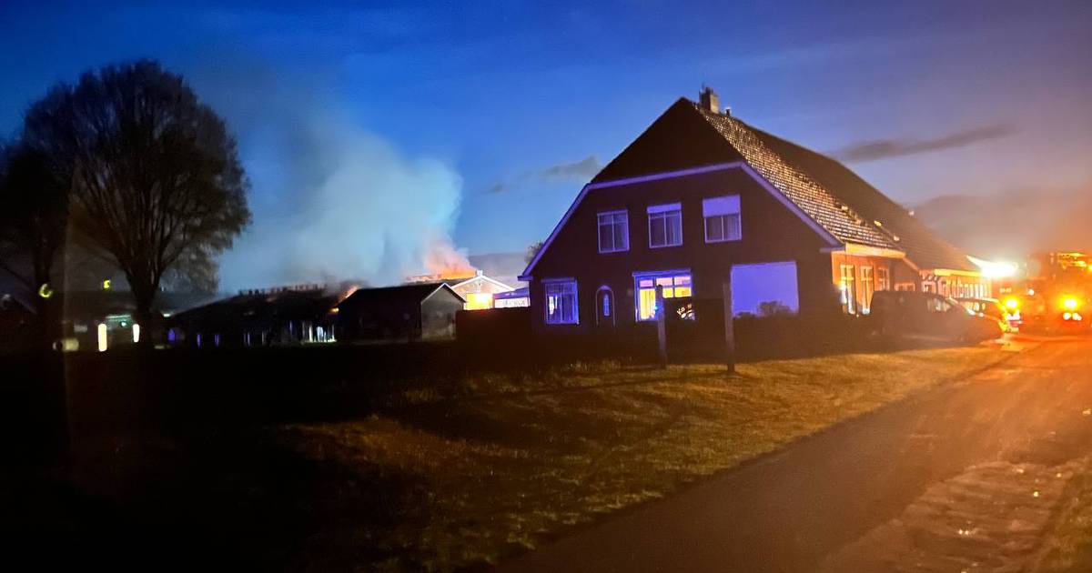 Grote stalbrand bij Gramsbergen, drie kalveren omgekomen