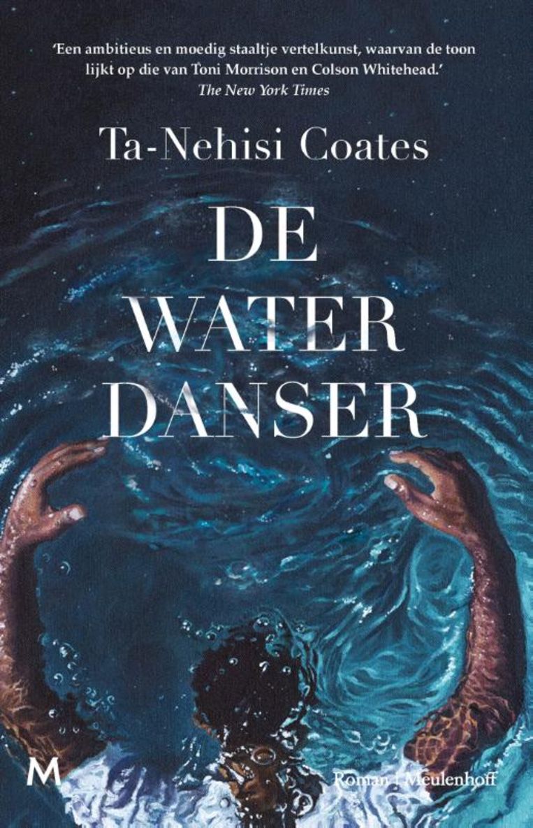 De Waterdanser Beeld Meulenhoff