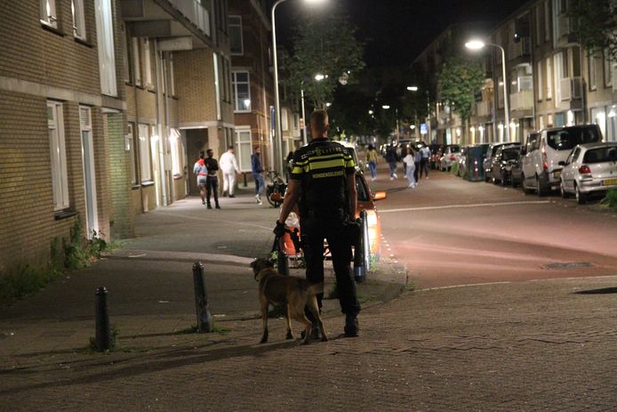 Feestvierende jongeren keerden zich vannacht tegen de politie nadat een feest in een woning aan de Steijnlaan in Den Haag werd stilgelegd.