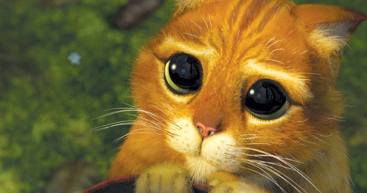 Apres Quatre Shrek Le Chat Potte A Son Propre Film Cinema 7sur7 Be