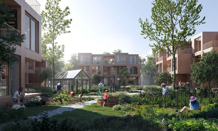 Impressie van de woningen die mHome in de slimme wijk Brainport Smart District in Helmond wil bouwen.