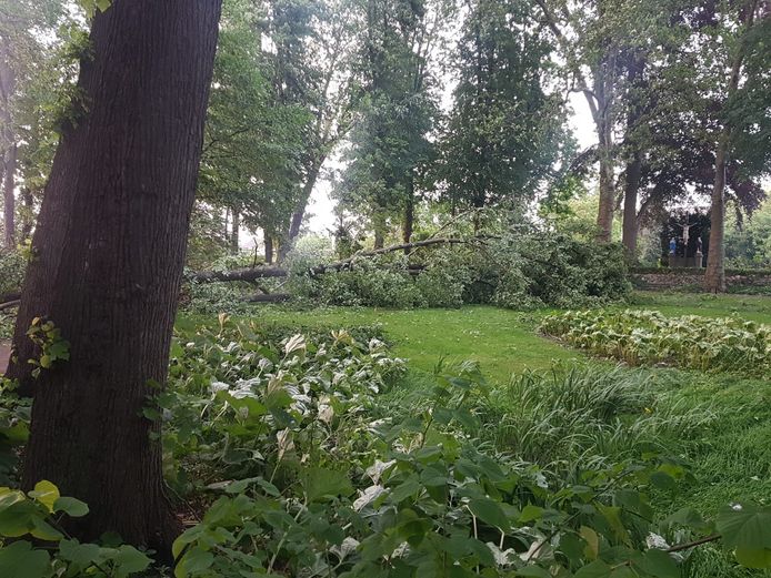 Ravage in de tuin achter de rijksmonumentale kerk van Katwijk.