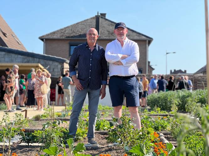 Eerste Maasmechelse volkstuintjes geopend: “Ooit verloederd, vandaag een prachtige site”