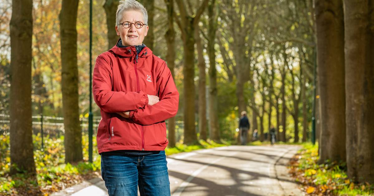 Hoe hoogbouwplannen Houten verscheuren. ‘Dit is onHoutens’, zegt