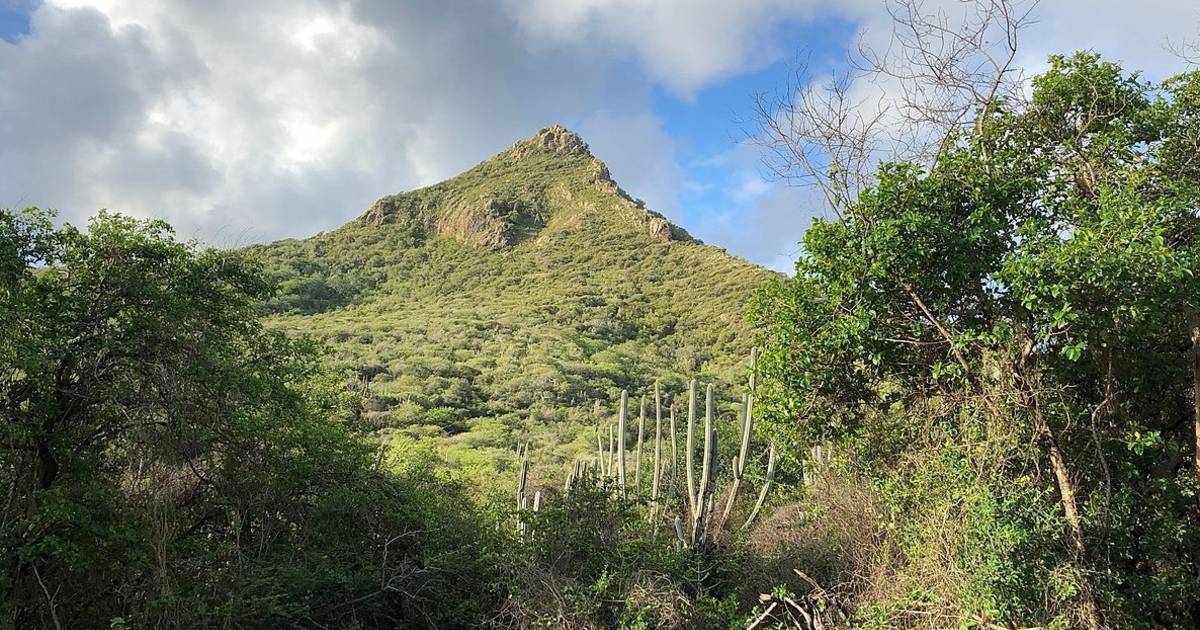 Nederlandse toerist na wandeling vermist op Curaçao