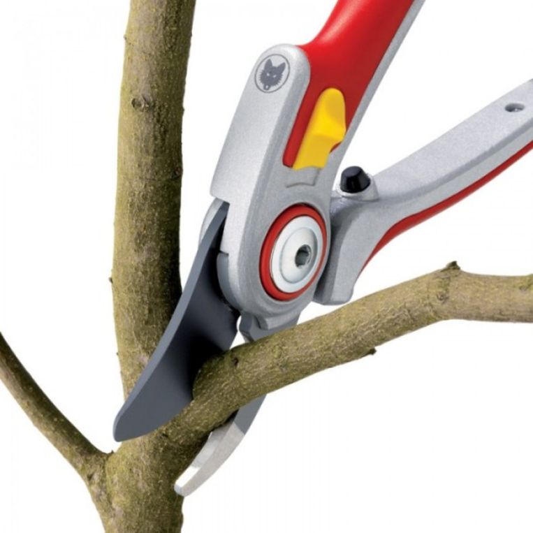 De RR 5000 knipt officieel takken tot 25 mm, maar blijkt ook dikkere takken aan te kunnen. Beeld 