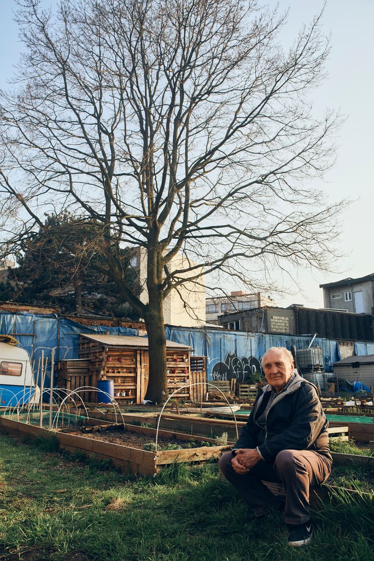 Louis Hendrickx: ‘Op mijn eik na, is Borgerhout erg veranderd.