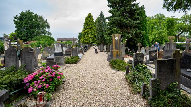Millingse begraafplaats uit 1870 wordt monument: ‘Dit moois moeten we wel blijven bijhouden’