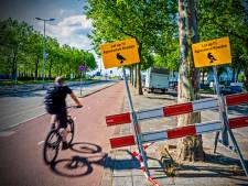 Agressieve Kuip-kraaien terug van weggeweest: ‘Zijn als de dood dat hun jonkies iets overkomt’ 