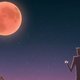 Mis het niet: supermaan + totale maansverduistering (filmpje)