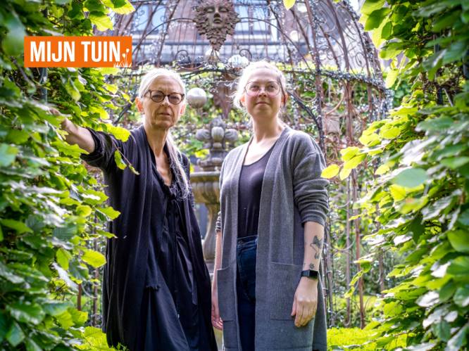 MIJN TUIN. De magnifieke stadstuin van Eva (57) in hartje Mechelen: “De slechtvalk van Sint-Rombouts heeft hier al op een merel gejaagd”