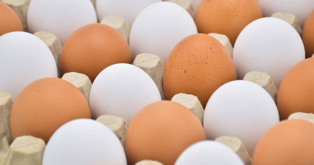 Tijdig Vulkanisch generatie Bruine eieren niet gezonder dan witte, wel veel duurder | Koken & Eten |  AD.nl