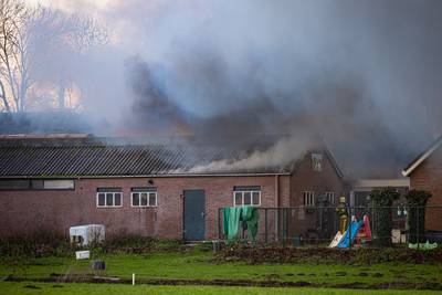 Grote schuurbrand in boerderij bij Zalk eist leven van 44 jonge koeien