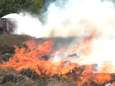 Natuurbrand verwoest ruim 7 hectare Ginkelse Heide