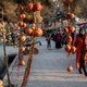 Afghanen maken zich (nog) geen zorgen over strenge regels, maar wel over lege portemonnees en magen