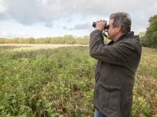 'Superfoods' als lokkertje voor akkervogels in Eersel