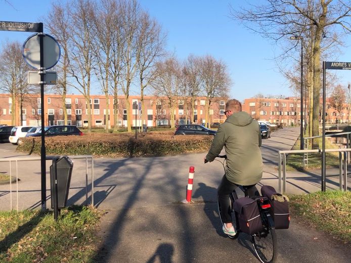 Paaltjes, paaltjes, paaltjes: het wemelt ervan in de Vijfhoek. Maar inmiddels staan ze er lang niet allemaal meer.