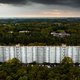 Klimaattop: Europese Unie zet in op meer bosbouw en duurzame landbouw voor CO2-opslag