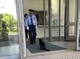Schattig: katten willen per se Japans museum betreden maar bewaker laat dat niet toe