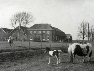 In de jacht op polsklokjes werd Huissenaar Dirk met een sabel onthoofd