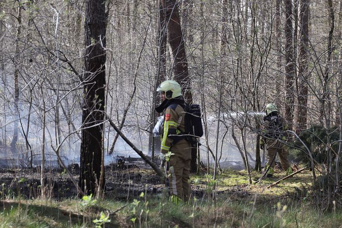In het bos aan de Vijverlaan in Waalwijk is maandagmiddag brand uitgebroken.