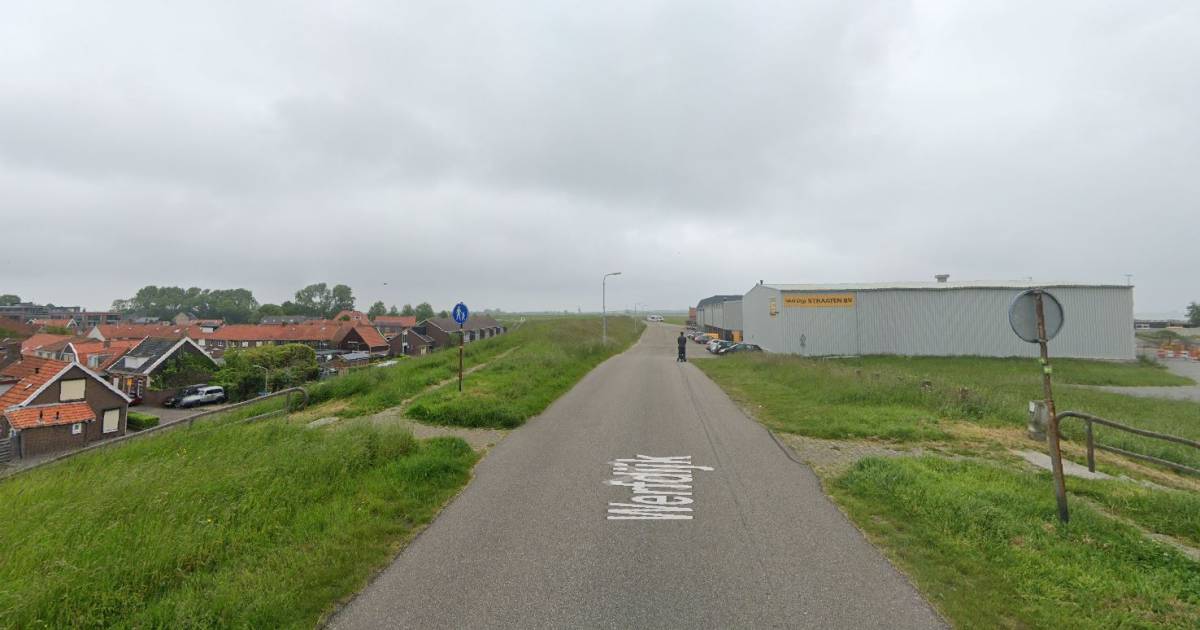 Waterschap vraagt creatieve ideeën om saaie betonnen keermuur op te leuken na dijkverzwaring