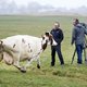 Farm & Food TV Channel, een eigen televisiezender voor boeren