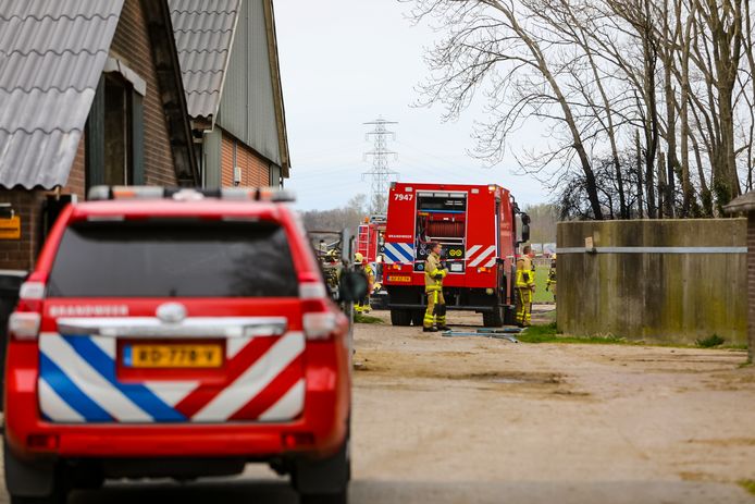 Twee bluswagens werden opgeroepen om de brand te doven.