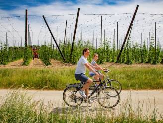 Ontdek Poperinge op de fiets met de nieuwe Zomerzoektocht 