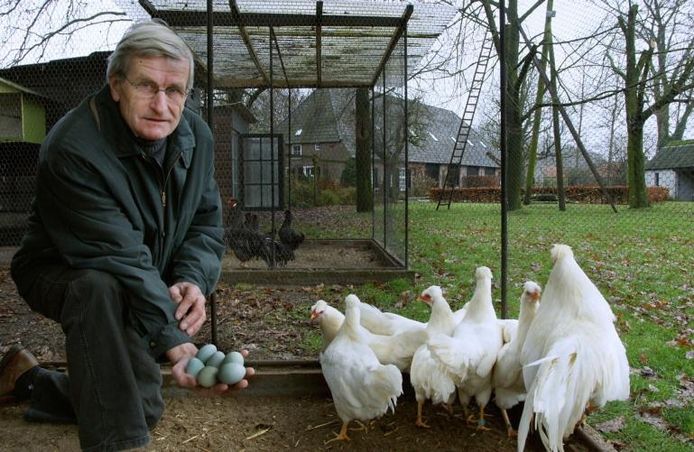 verslag doen van Momentum Raap De kip met de groene eieren... | Den Bosch, Vught | bd.nl