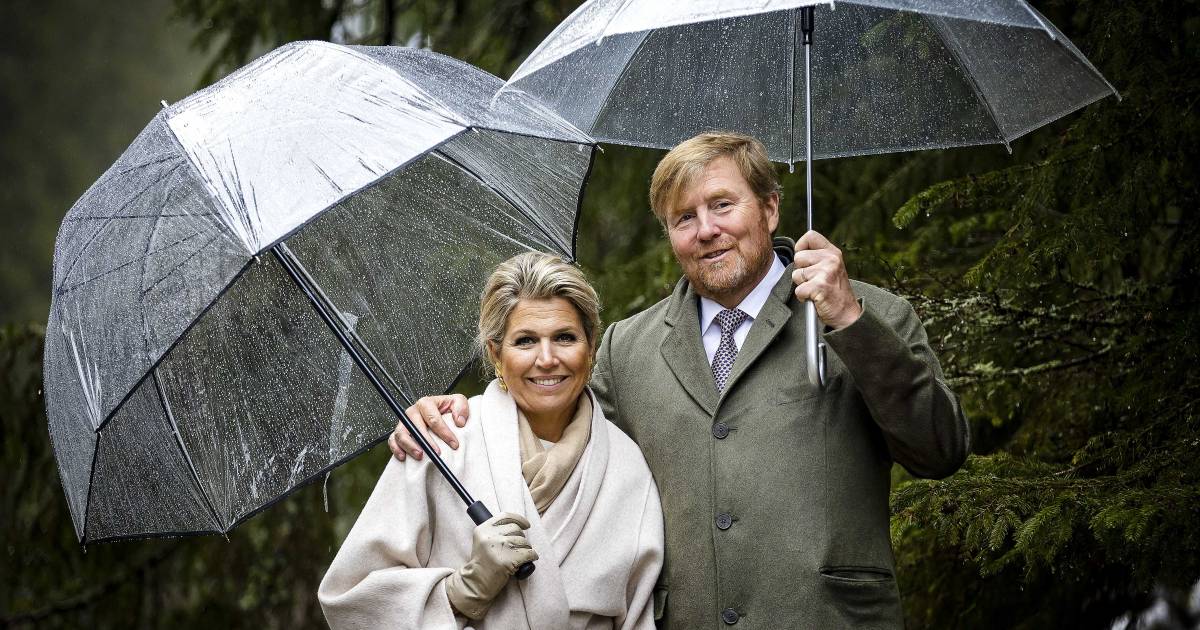 Chasing ‘The Crown’: an upcoming novel series about the love between Máxima and Willem-Alexander |  Property