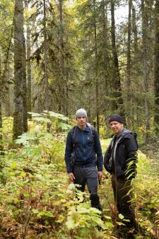 Te zien in Den Haag: Geen toerist te bekennen in het grootste bosgebied op aarde