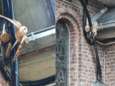 Tragisch: twee kerkuilen raken verstrikt in kerkbedrading, één diertje moest al spuitje krijgen
