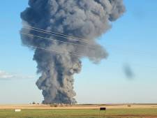 18.000 vaches sont mortes dans l'explosion d'une ferme géante au Texas