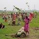 India breekt eigen wereldrecord: 66 miljoen bomen geplant in 12 uur