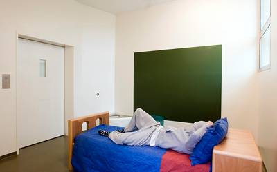 'Beoordeling risico zedendelinquent niet goed'