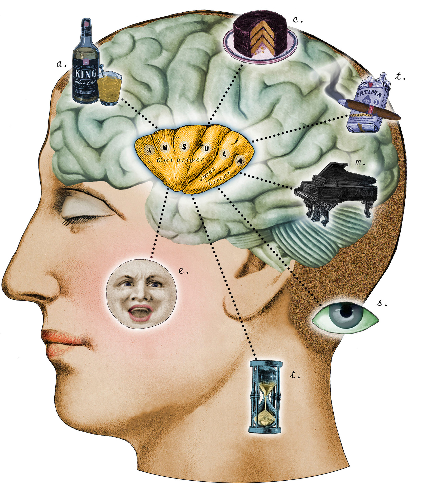Brainscale. Мозг удовольствие. Мозг и психика.