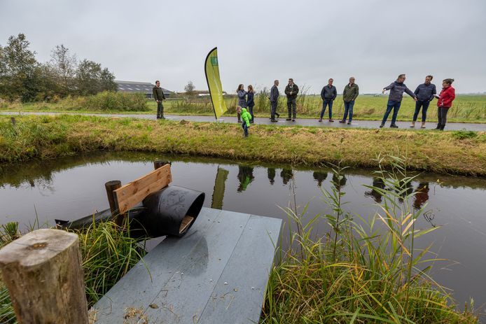 Ook voor de gemeente Steenwijkerland is het jaar van de otter een moment om te laten zien dat het icoon van Weerribben-Wieden verankerd zit in de genen.