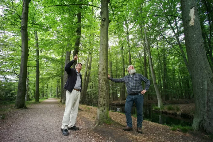 Henk Hekman, voorzitter van de Gelderman Stichting, en parkbeheerder Ton Schopman nemen de schade op in het wandelgebied ‘De Eilandjes’, waar veel bomen zijn aangetast en dit najaar vervangen gaan worden door nieuwe, gezonde exemplaren.