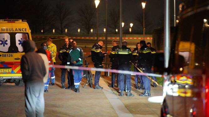 Dode door ‘steekincident’ op Lentse Warande in Nijmegen, veel hulpdiensten aanwezig