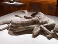 Versteend liefdesduo van vulkaanuitbarsting Pompeii zijn twee mannen