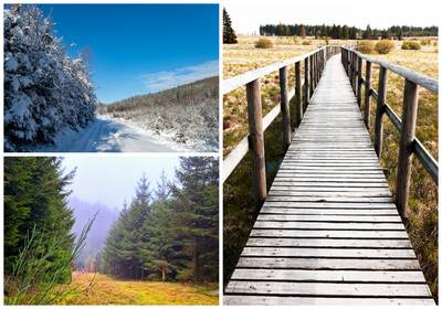 Op wandel in de winter: de vijf mooiste natuurroutes in eigen land