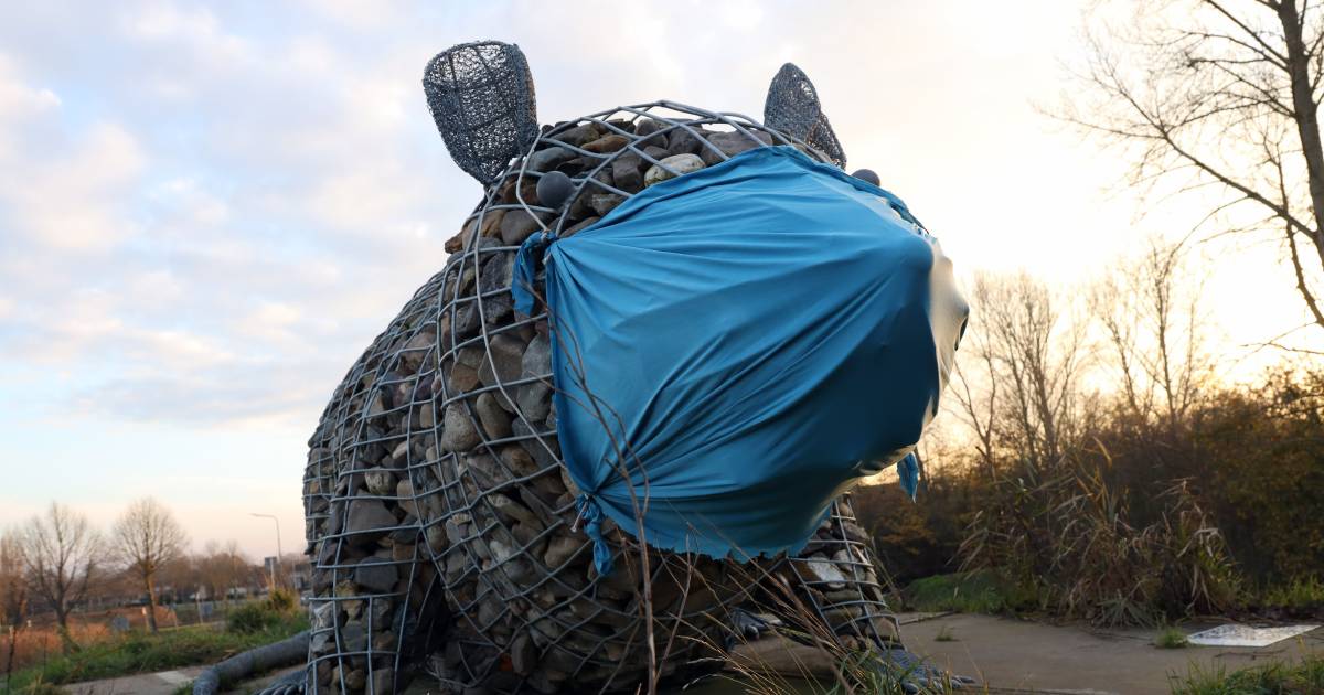 Steense Rat van 6 meter draagt plots een enorme mondkap